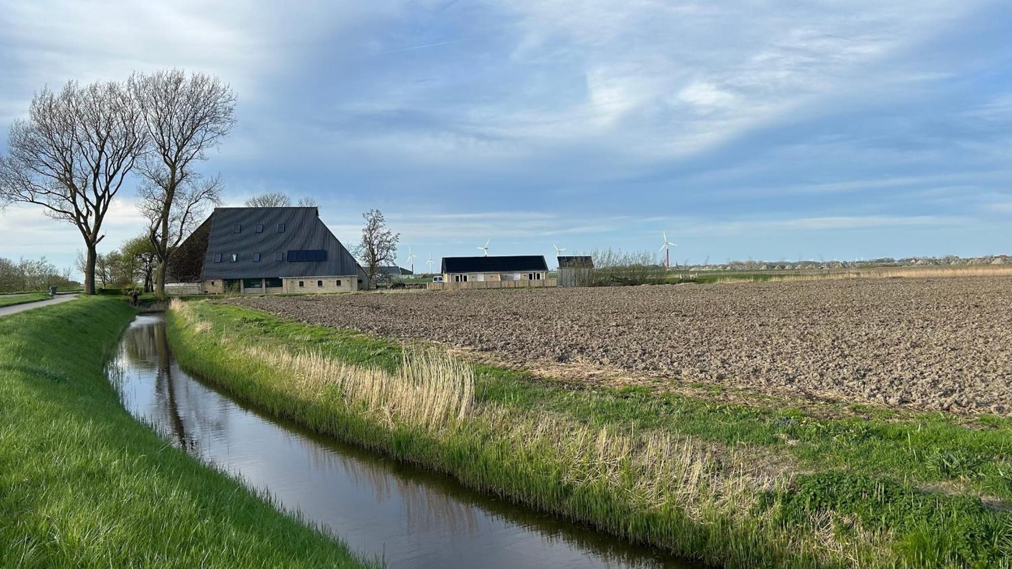 Vakantie Appartementen Sylsicht Sexbierum Bagian luar foto